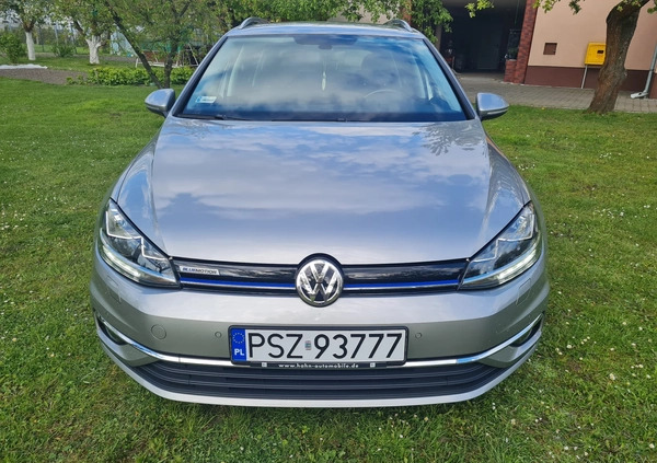Volkswagen Golf cena 59000 przebieg: 50517, rok produkcji 2018 z Pniewy małe 211